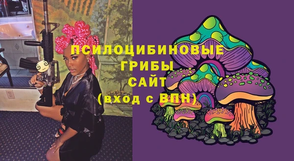 ГАЛЛЮЦИНОГЕННЫЕ ГРИБЫ Костерёво